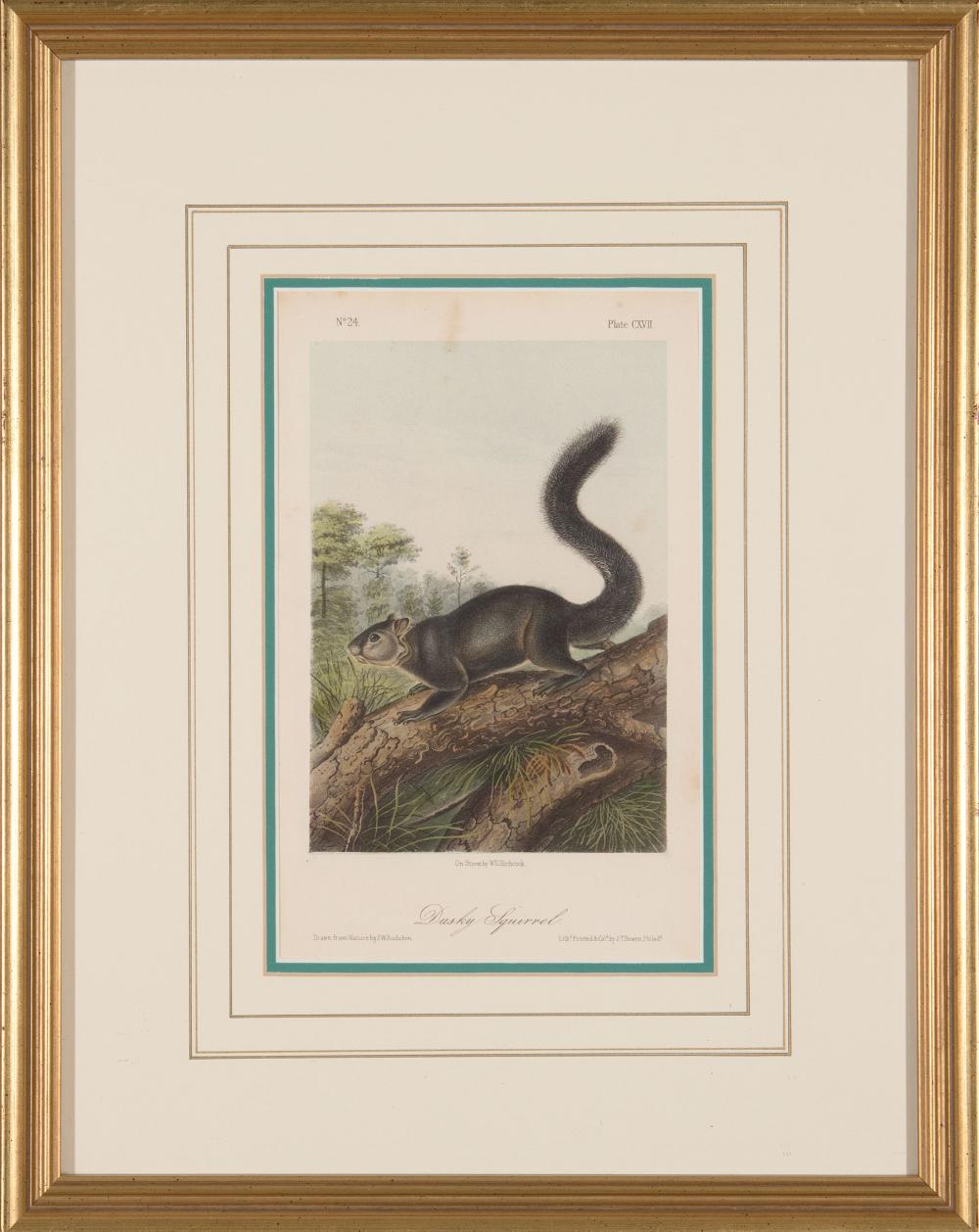JOHN JAMES AUDUBON (AMERICAN,