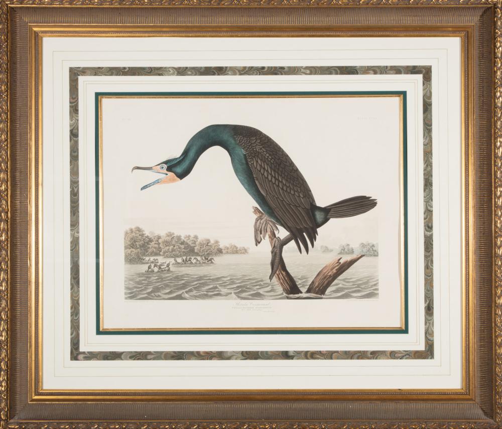 JOHN JAMES AUDUBON (AMERICAN,