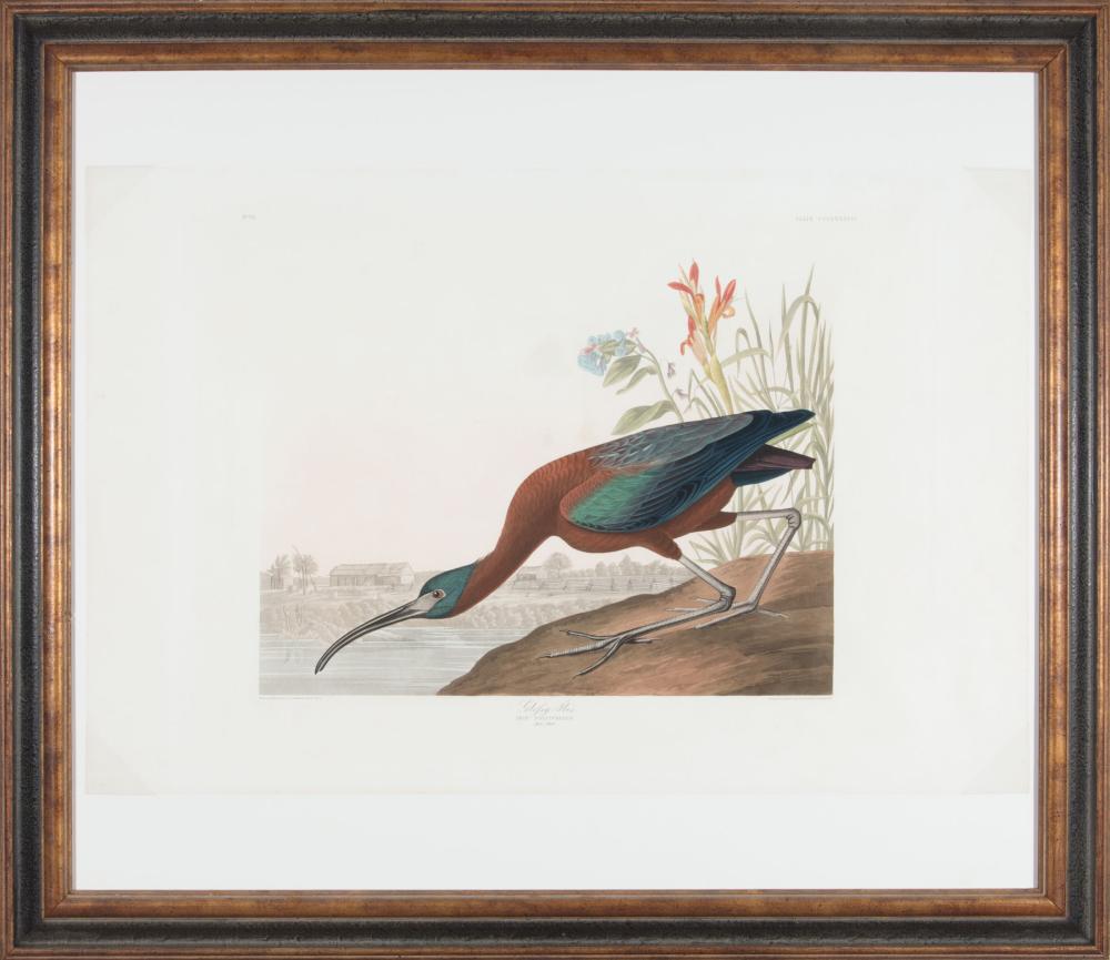 JOHN JAMES AUDUBON (AMERICAN,