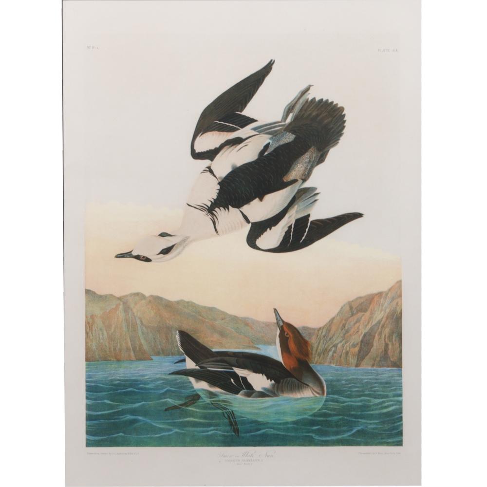 JOHN JAMES AUDUBON, BIRDS OF