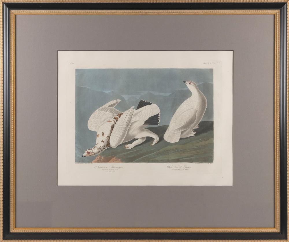JOHN JAMES AUDUBON ELEPHANT FOLIO
