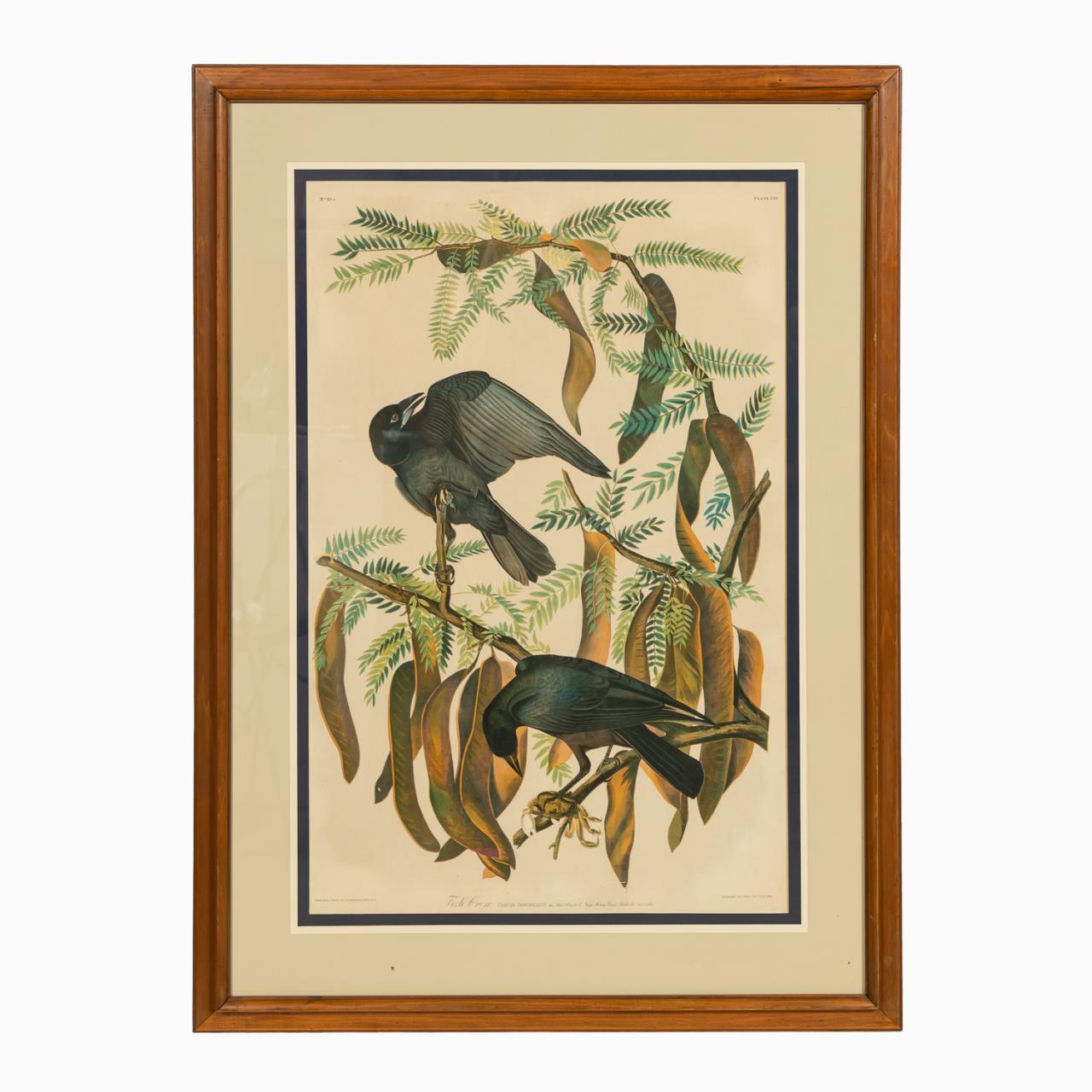 JOHN JAMES AUDUBON "FISH CROW" BIEN