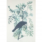 JOHN JAMES AUDUBON, LARGE SCAL