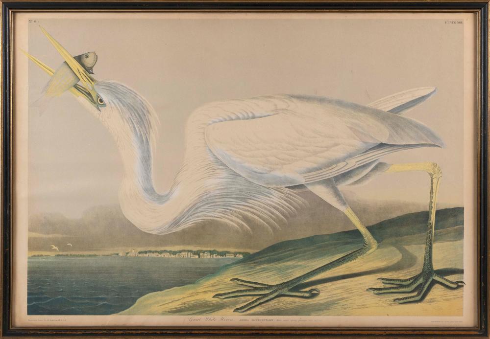JOHN JAMES AUDUBON (NEW