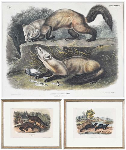 JOHN JAMES AUDUBON(New York,