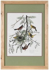 JOHN JAMES AUDUBON(New York, 1