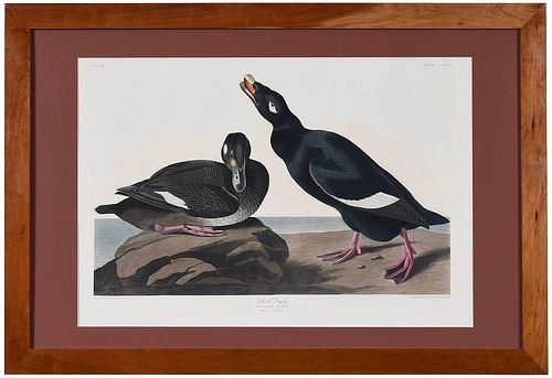 JOHN JAMES AUDUBON(New York,