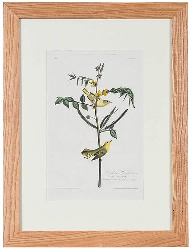 JOHN JAMES AUDUBON(New York,