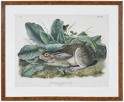 JOHN JAMES AUDUBON(New York,