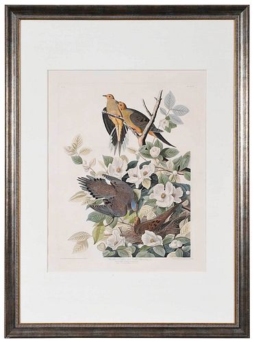 JOHN JAMES AUDUBON(New York,
