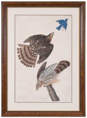 JOHN JAMES AUDUBON(New York, 1