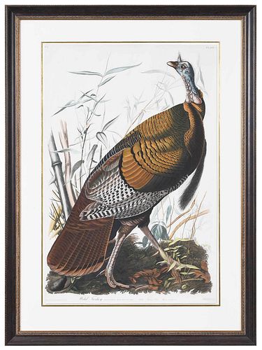 JOHN JAMES AUDUBON(New York,