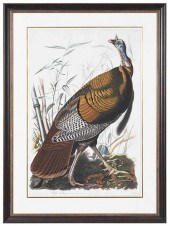 JOHN JAMES AUDUBON(New York, 1