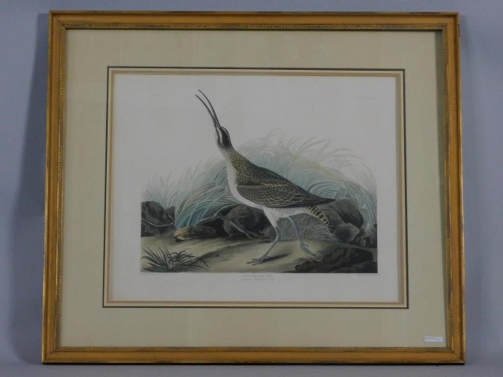 JOHN JAMES LAFOREST AUDUBON