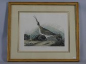 JOHN JAMES LAFOREST AUDUBON (1
