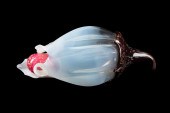 JOHN LEIGHTON ART GLASS FLOWER