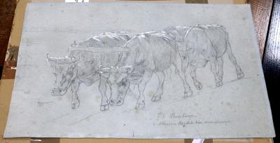 John-Lewis Shonborn