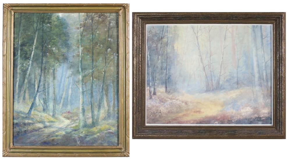 JOHN MARION CROOK (OREGON/ILLINOIS,