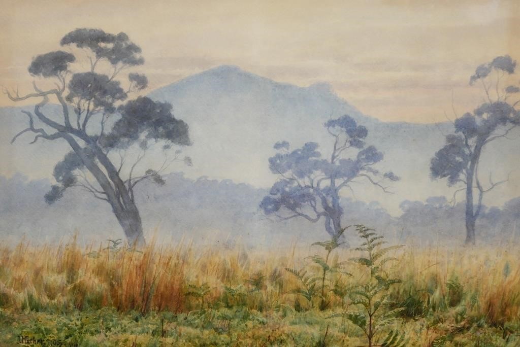 JOHN MATHER, WC EARLY MORNING, BUSH