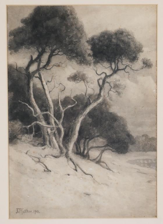 JOHN MATHER, WC, TEA