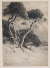 JOHN MATHER, WC, TEA TREASMono