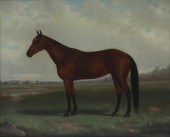 JOHN MCAULIFFE (IRISH/AMERICAN