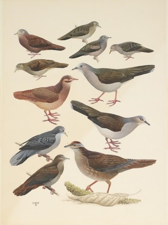 JOHN P. O'NEILL (B. 1942)Two Bird