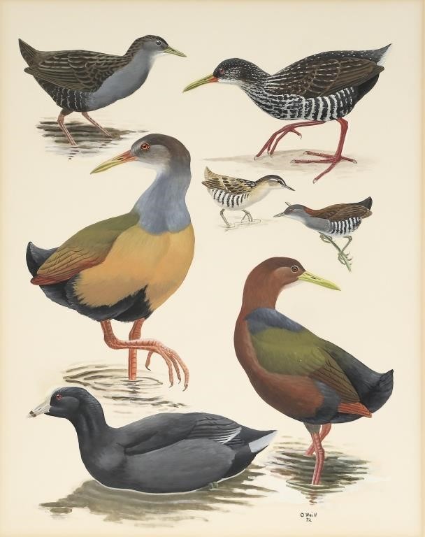 JOHN P. O'NEILL (B. 1942)Two Bird