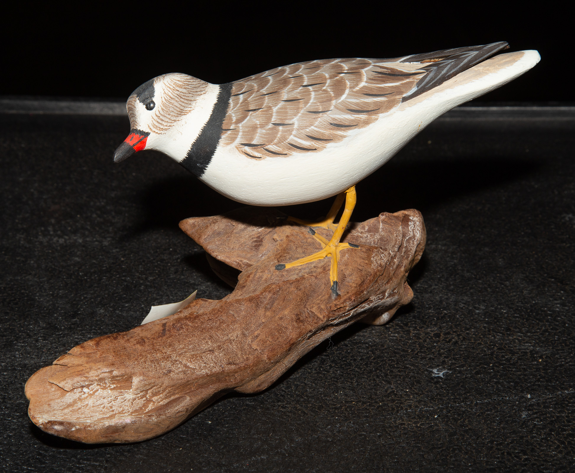 JOHN PATTY, "PIPING PLOVER,"