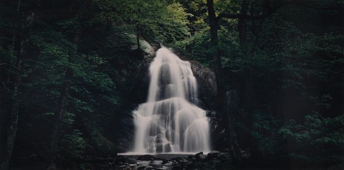 JOHN PFAHL (b. 1939): "MOSS GLEN