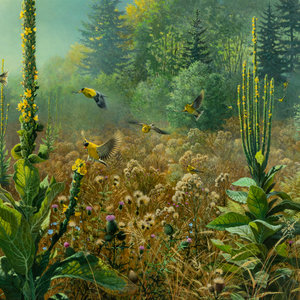 John Pitcher (American, b. 1949)
