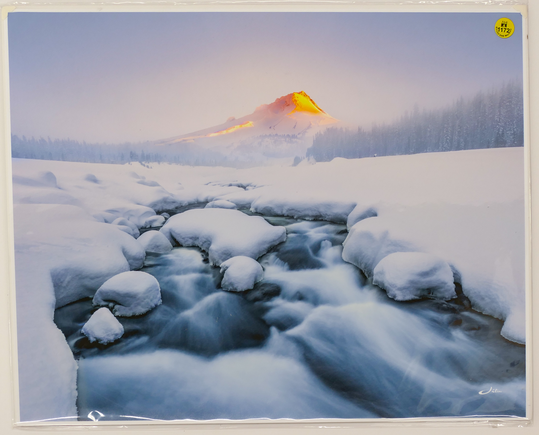 John Qu ''Mt. Hood'' Limited