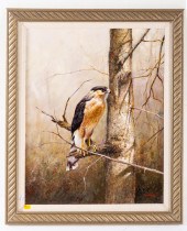 JOHN R. WILSON. "SHARP SHINNED