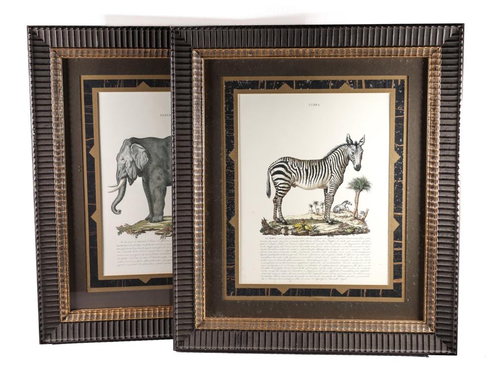 JOHN RICHARDS FRAMED ELEPHANT AND