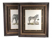 JOHN RICHARDS FRAMED ELEPHANT