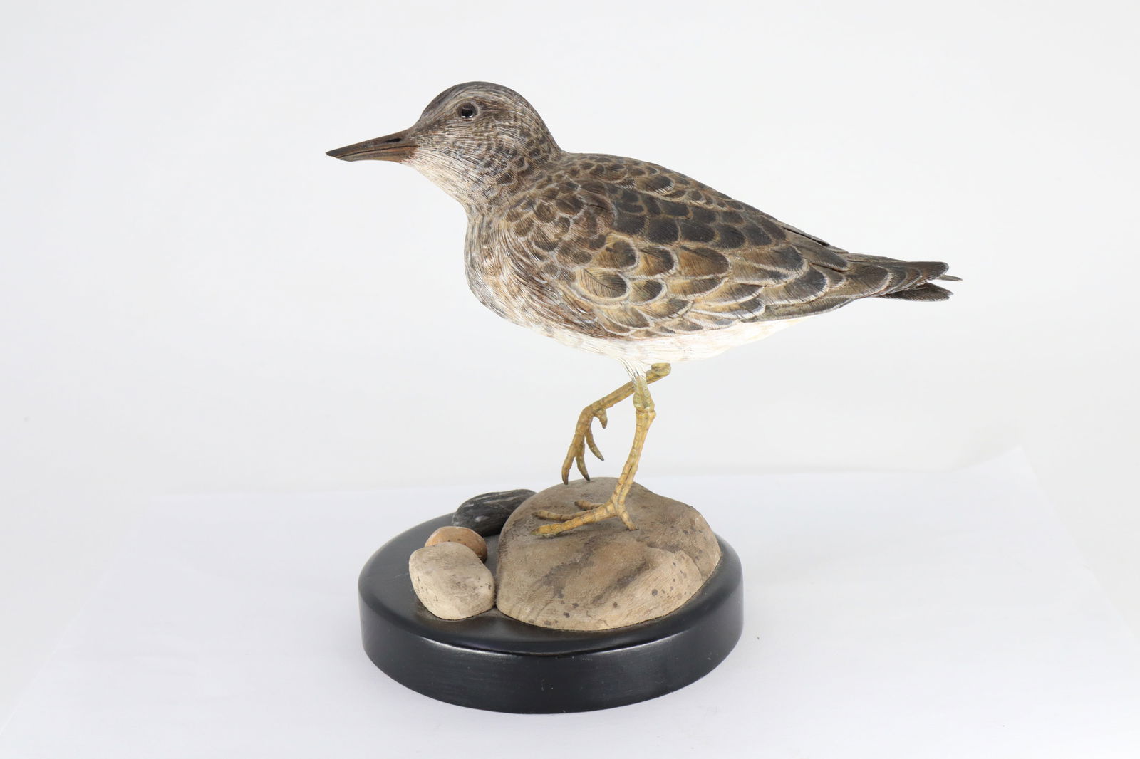 JOHN ROSSER PECTORAL SANDPIPER