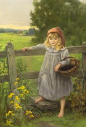 *John Shirley Fox (British 186