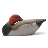 JOHNATHAN WILLIS (NC), SLEEPIN