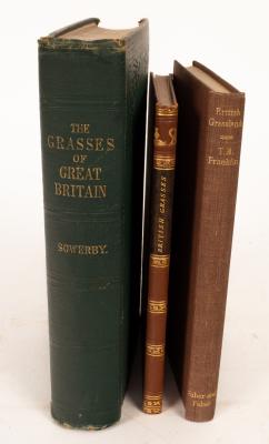 Johnson (Charles) & Sowerby (John