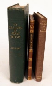 Johnson (Charles) & Sowerby (J