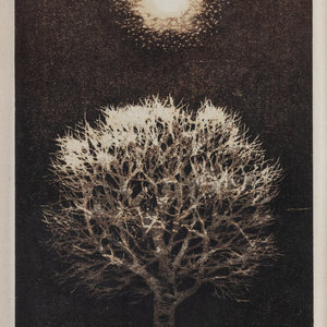 Joichi Hoshi (Japanese,