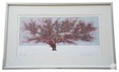 JOICHI HOSHI ONE TREE (SILVER)