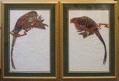 JONNA WHITE, 'SATSUMA' AND 'CL