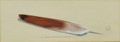 JONNY (LEE SCOTT) HAWK (B.1934