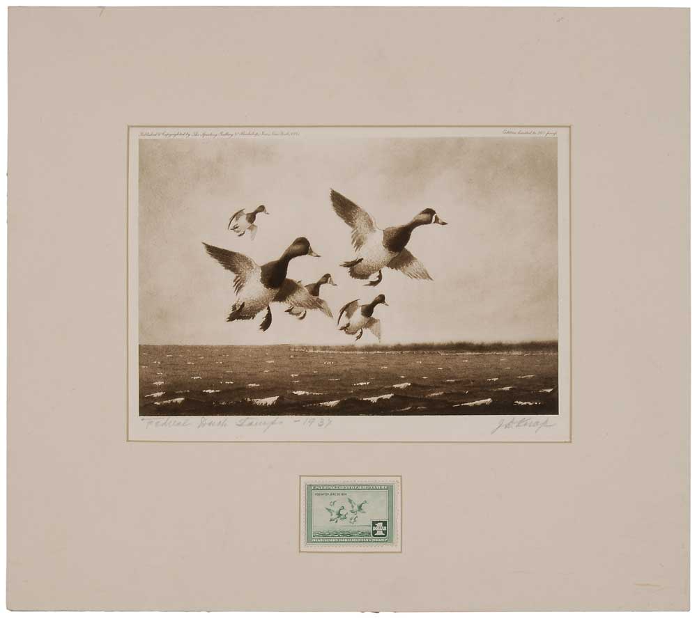 Joseph D. Knap (American,