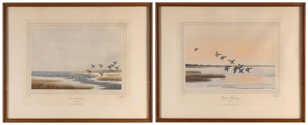 JOSEPH DAY KNAP (NEW YORK,