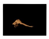 JOSEPH GUAY RESIN PHOTOGRAPH,