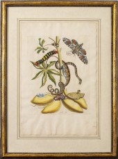 JOSEPH MULDER BOTANICAL HAND-C