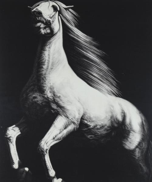 JOSEPH PICCILLO (B. 1941) PENCIL
