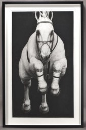 Joseph Piccillo ''E 103'' char
